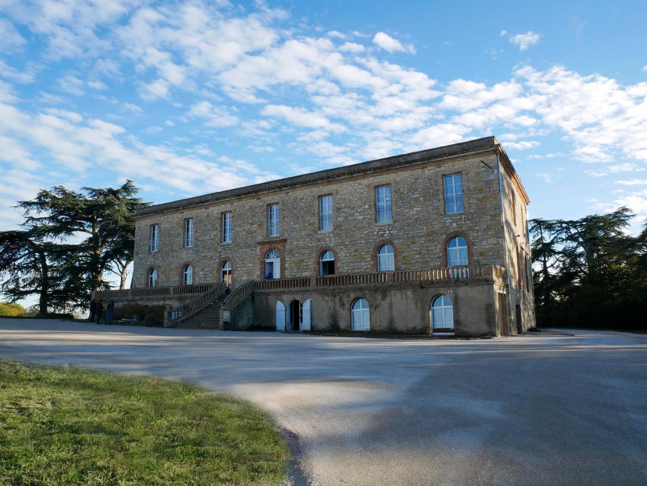 Chateau De Tauzies, The Originals Relais Gaillac Exterior photo